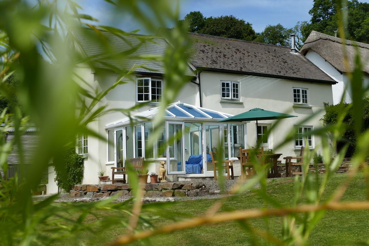 Bed and Breakfast Meadowland Farm Dolton Exteriér fotografie
